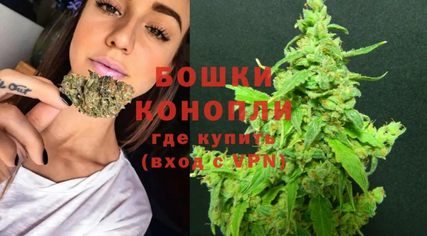 гидра Белоозёрский