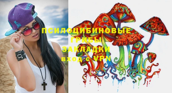 тгк Белокуриха