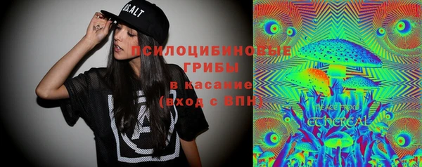 тгк Белокуриха