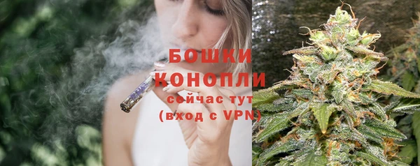 тгк Белокуриха