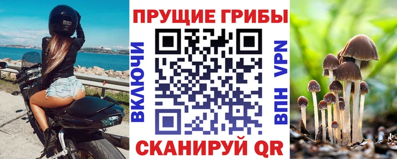 Псилоцибиновые грибы ЛСД  Мглин 